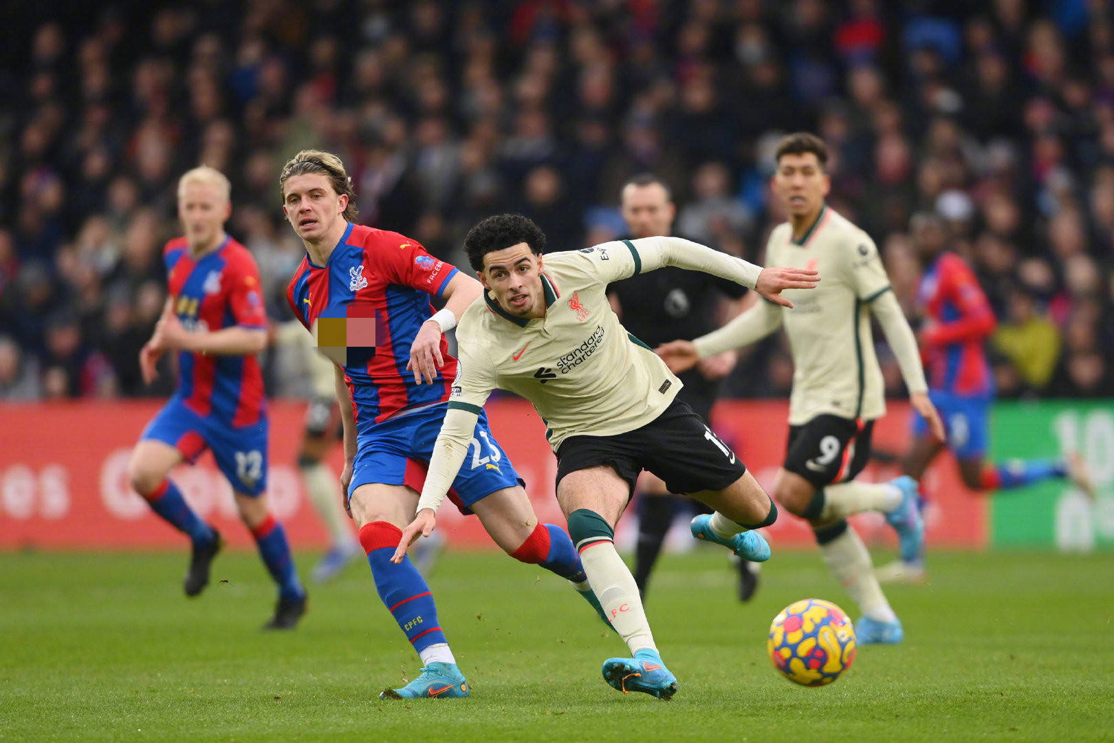 這或許僅僅 這或許僅僅